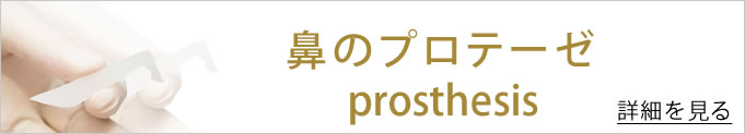 鼻のプロテーゼのバナー